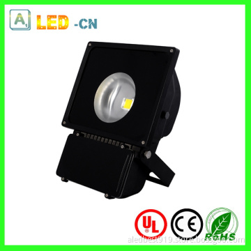 80W Brigdelux COB LED Flood Lights